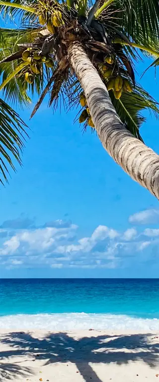 Seychellen - Inselparadies im Indischen Ozean